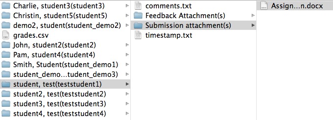 Screenshot of downloaded student submission folders. 