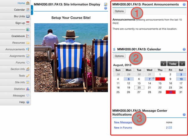 Screenshot showing Announcements, Calendar and Messages tools.