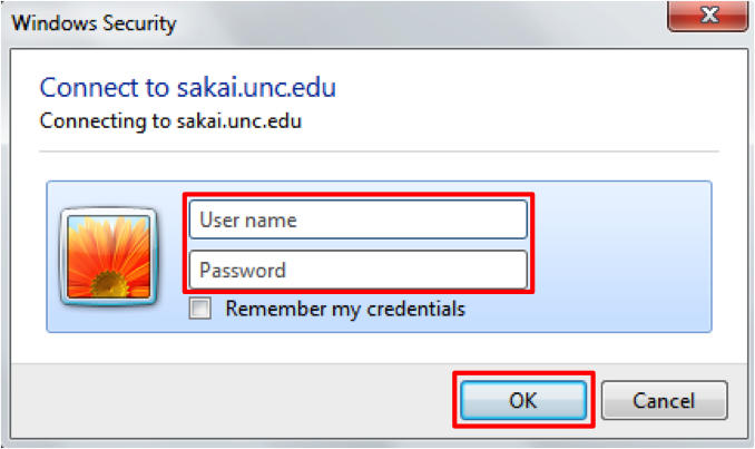 Screenshot of connect to Sakai from Windows. 